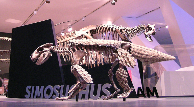 Dinosaur at the ROM