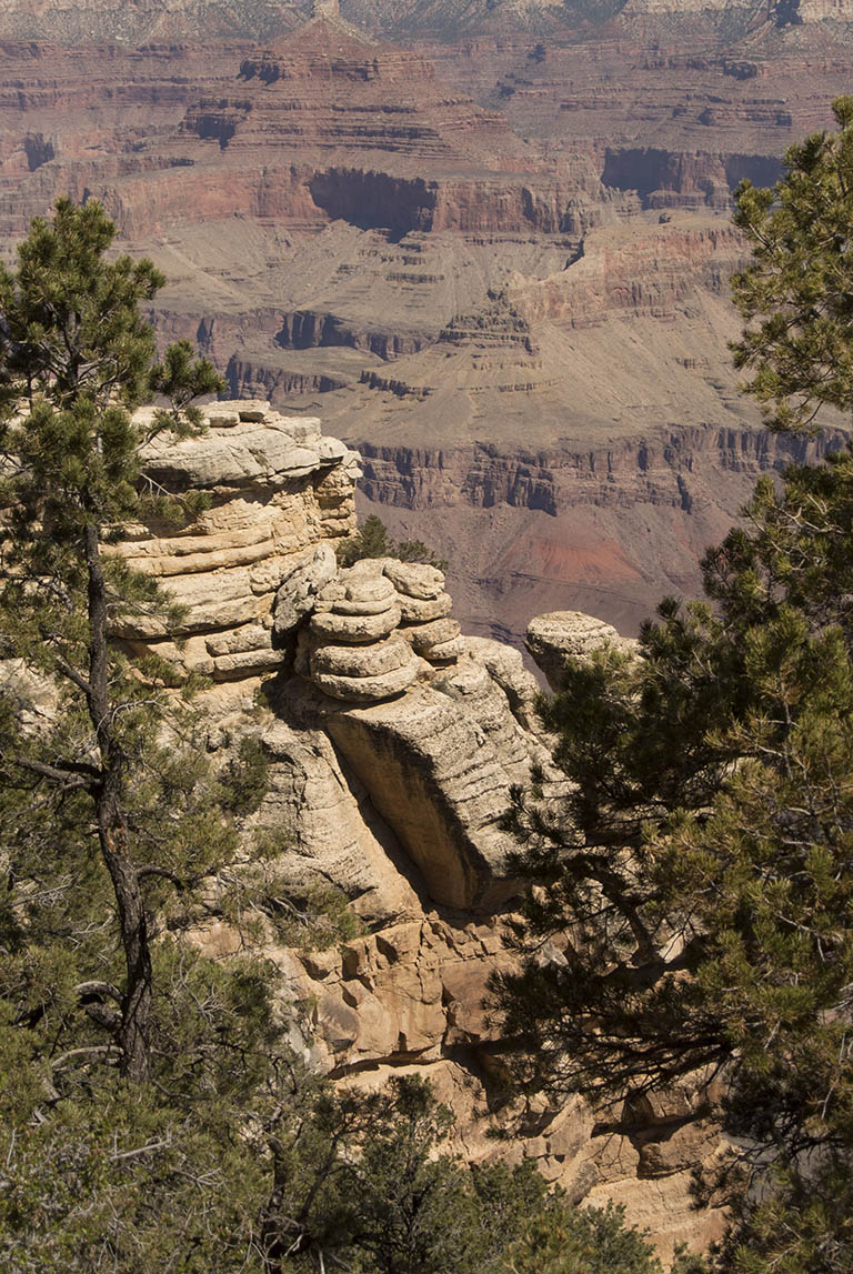 Grand Canyon white sandstone