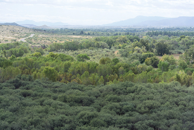 Tuzigoot National Monument, Arizona: view from the hilltop site