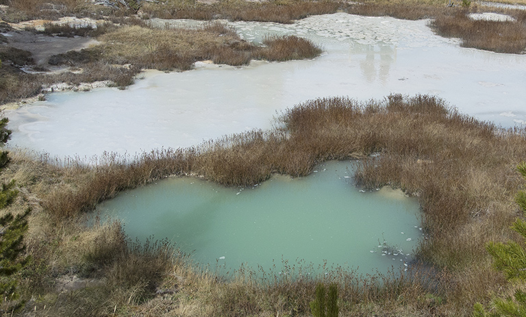 West Thumb Geyser Basin, white and turquoise pools